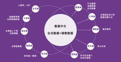 紫日軟件導購通3.0 直連消費者，驅動銷量暴漲的智能銷售解決方案